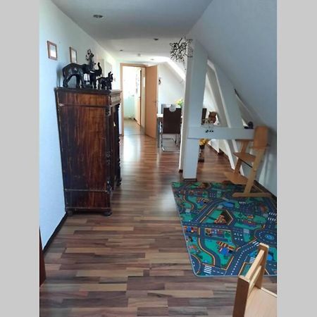 Ferienwohnung Mit Elbwiesenblick Wittenberg Dış mekan fotoğraf