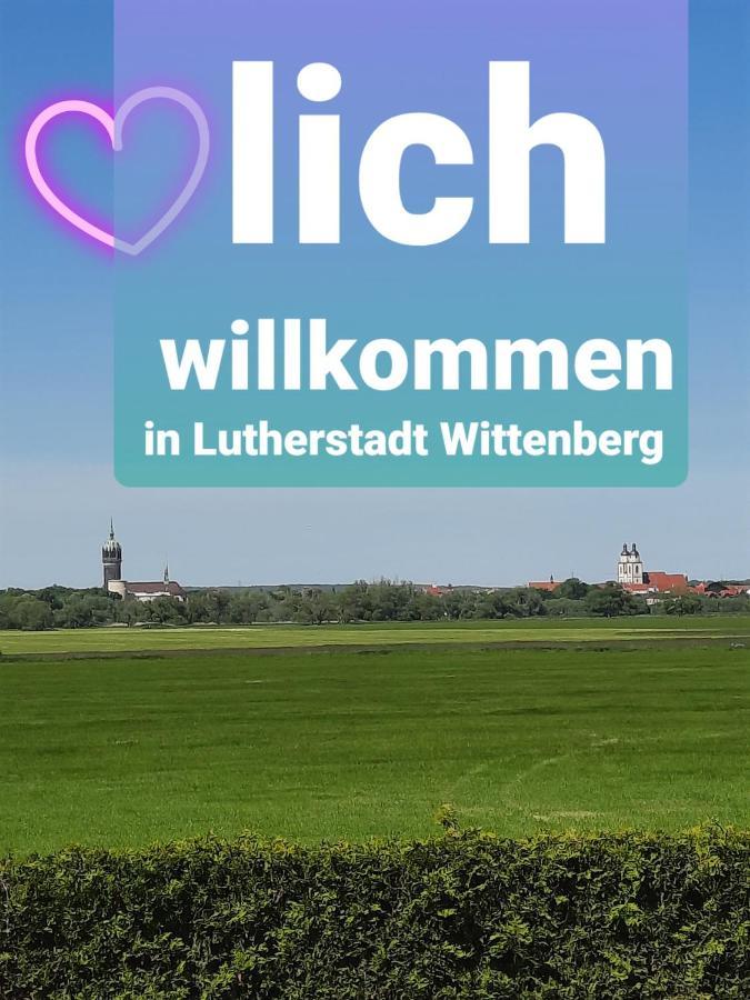 Ferienwohnung Mit Elbwiesenblick Wittenberg Dış mekan fotoğraf