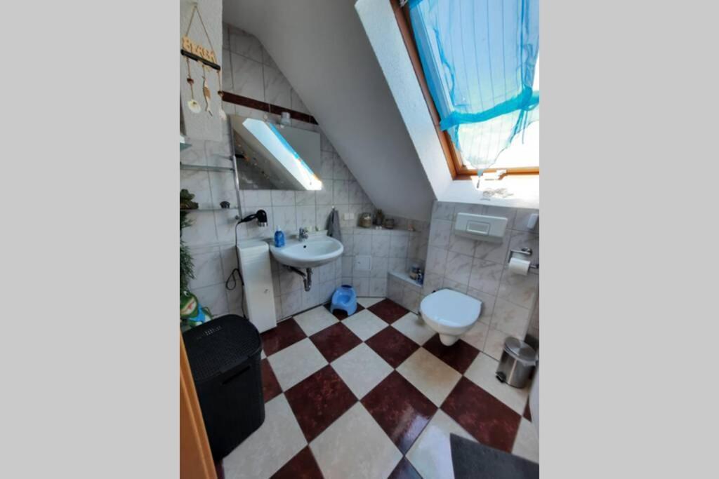 Ferienwohnung Mit Elbwiesenblick Wittenberg Dış mekan fotoğraf