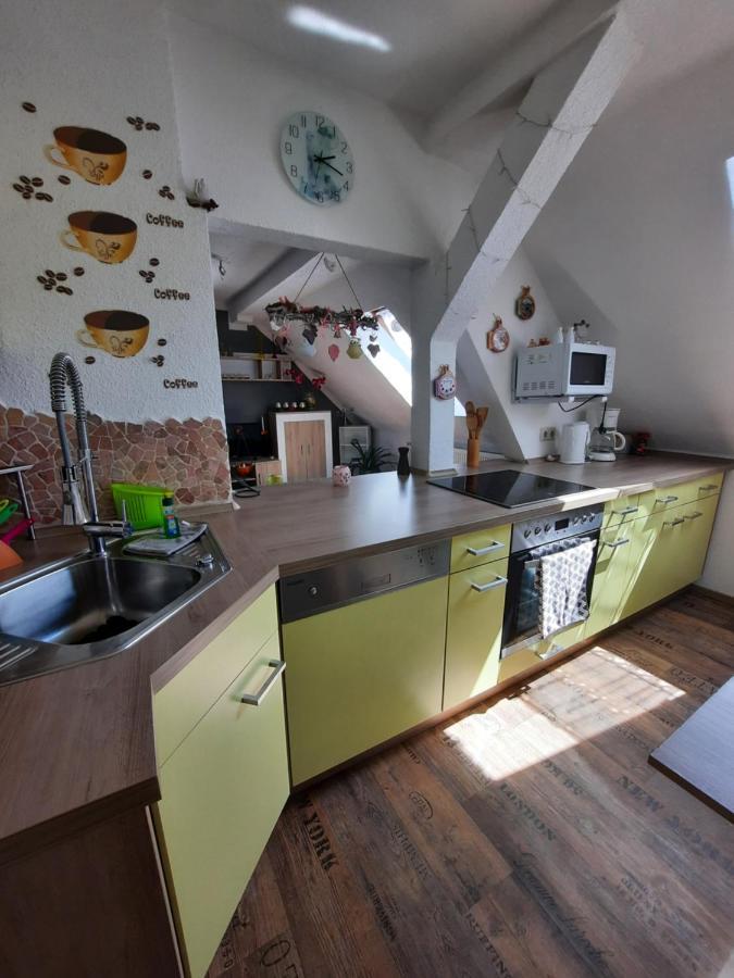 Ferienwohnung Mit Elbwiesenblick Wittenberg Dış mekan fotoğraf