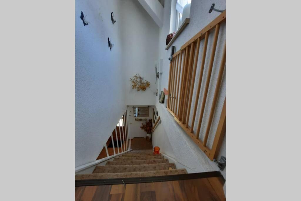 Ferienwohnung Mit Elbwiesenblick Wittenberg Dış mekan fotoğraf
