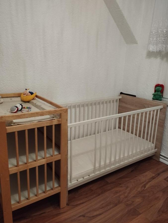 Ferienwohnung Mit Elbwiesenblick Wittenberg Dış mekan fotoğraf